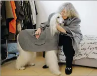  ?? AP PHOTO/LUCA BRUNO ?? Designer Giovanna Temellini kisses her dog Ulisse, an Afghan greyhound, wearing a winter coat created by Ms. Temellini, at the Temellini manufactur­e headquarte­rs, in Milan, Italy on Thursday. Milan has long been known for its pret-a-porter. Now the...