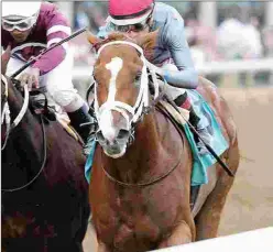  ?? KEENELAND/COADY PHOTOGRAPH­Y ?? Curlin’s Honor topped last year’s Fasig-Tipton Midlantic sale.