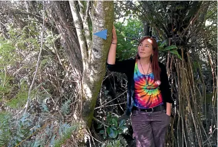  ?? DAVE NICOLL/FAIRFAX NZ 633804456 ?? Omaui Landcare Charitable Trust secretary Casie Heron with one of the markers for the new trap lines to be installed.