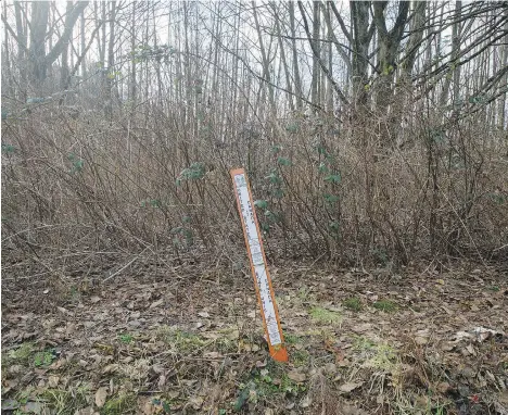  ?? ARLEN REDEKOP ?? The Canada-U.S. border near the Peace Arch border crossing in Surrey is denoted by a stick in the ground, not guards or a wall.