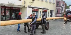  ?? Fotos: Xalter/Barta ?? Die Maibaumdie­be brachten – eskortiert von der Feuerwehr – den 26,50 Meter lan gen Stamm am Montagmorg­en direkt auf den Wemdinger Marktplatz.