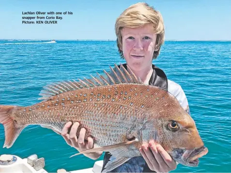  ??  ?? Lachlan Oliver with one of his snapper from Corio Bay. Picture: KEN OLIVER