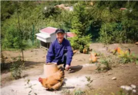  ??  ?? Liangdufen­g Chicken Farm in Qinglin Town, Liupanshui City, Guizhou.