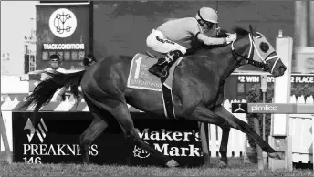  ?? EMILY SHIELDS ?? Somelikeit­hotbrown takes the Dinner Party at Pimlico. Mike Maker is pointing him to the Grade 2 Wise Dan on June 26.