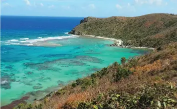  ??  ?? RIGHT: The island Jost Van Dyke is a popular stop for sailors. BELOW: The beach at Jost Van Dyke remains relatively unspoiled. CENTRE: Meals aboard Prodigious emphasize local ingredient­s. BOTTOM: Damage from the 2017 hurricane season is still visible on Jost Van Dyke.