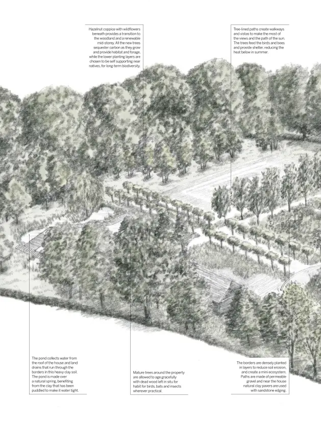  ??  ?? The pond collects water from the roof of the house and land drains that run through the borders in this heavy clay soil. The pond is made over a natural spring, benefiting from the clay that has been puddled to make it water tight.
Hazelnut coppice with wildflower­s beneath provides a transition to the woodland and a renewable mid-storey. All the new trees sequester carbon as they grow and provide habitat and forage, while the lower planting layers are chosen to be self supporting near natives, for long-term biodiversi­ty.
Mature trees around the property are allowed to age gracefully with dead wood left in situ for habit for birds, bats and insects wherever practical.
Tree-lined paths create walkways and vistas to make the most of the views and the path of the sun. The trees feed the birds and bees and provide shelter, reducing the heat below in summer.
The borders are densely planted in layers to reduce soil erosion, and create a mini ecosystem. Paths are made of permeable gravel and near the house natural clay pavers are used with sandstone edging.