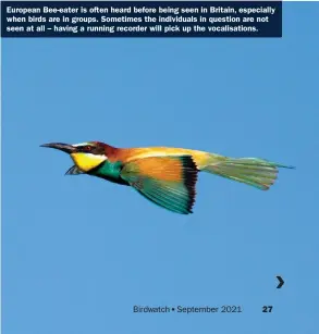  ??  ?? European Bee-eater is often heard before being seen in Britain, especially when birds are in groups. Sometimes the individual­s in question are not seen at all – having a running recorder will pick up the vocalisati­ons.