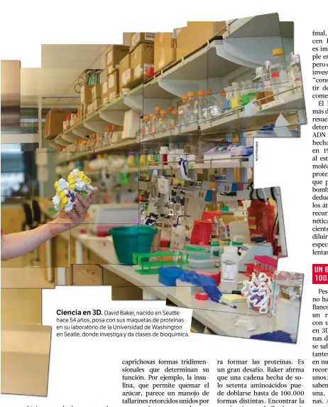 ??  ?? Ciencia en 3D.
David Baker, nacido en Sea le hace 54 años, posa con sus maquetas de proteínas en su laboratori­o de la Universida­d de Washington en Seatle, donde investiga y da clases de bioquímica.