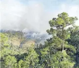  ?? / CORTESÍA ?? Se registran 4 incendios, 2 ubicados en Guadalupe y Calvo.