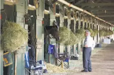  ?? Horsephoto­s / Getty Images 2006 ?? Hall of Fame trainer Jerry Hollendorf­er no longer can run his horses in New York, the state’s racing associatio­n ruled Sunday.