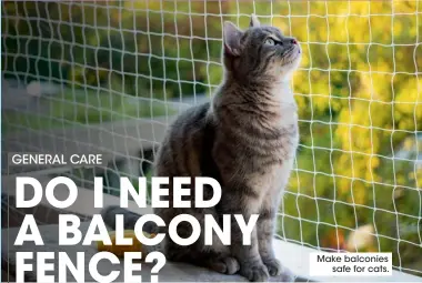  ?? ?? Make balconies safe for cats.