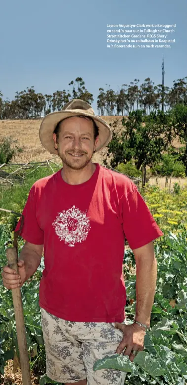  ??  ?? Jayson Augustyn-clark werk elke oggend en aand ’n paar uur in Tulbagh se Church Street Kitchen Gardens. REGS Sheryl Ozinsky het ’n ou rolbalbaan in Kaapstad in ’n florerende tuin en mark verander.