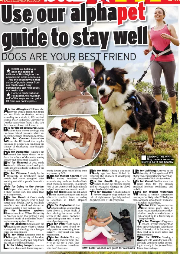  ??  ?? PAWFECT: Pooches are great for workouts
LEADING THE WAY: Dog owners are more likely to be fit and healthy