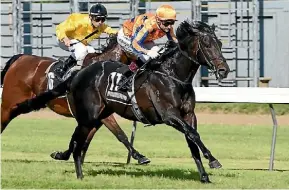  ?? NZ RACING DESK ?? Handsome Savabeel colt Embellish (Opie Bosson) cements favouritis­m for the New Zealand 2000 Guineas with an easy win at Trentham on Saturday.