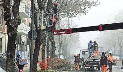  ?? ?? Cantiere Le proteste del comitato di corso Belgio hanno impedito ieri di proseguire con la messa in sicurezza degli alberi pericolosi