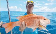  ?? The Family Group Islands have continued to see excellent numbers of quality fingermark caught on live sardines and fresh squid, along with some big grunter. Gould Island and Cape Richards have also been firing on fingermark and grunter off Cardwell.
The C ?? RED HOT: Calm conditions and plenty of large mouth nannygai greeted anglers on board with Cairns Reef Fishing late last week.