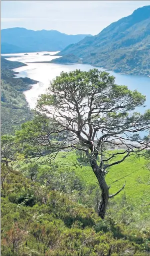  ??  ?? Hard-earned view of Loch Hourn which runs along the northern edge of remote Knoydart in the Western Highlands