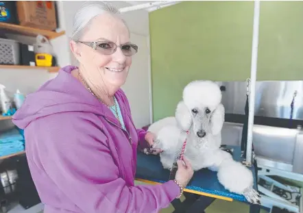  ?? Picture: MIKE BATTERHAM ?? Ormeau’s Diane Agar is offering dog grooming classes so people don't have to fork out big bucks.