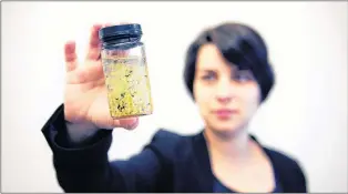  ?? CONTRIBUTE­D ?? Max Liboiron holds a vial of plastic waste in a 2016 file photo.