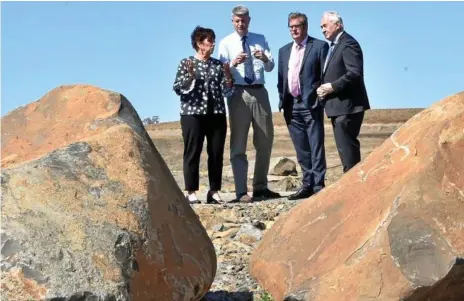  ?? Photo: Bev Lacey ?? FOWARD PLANNING: Overlookin­g the Charlton North Detention Basin are (from left) Cr Carol Taylor, Stirling Hinchliffe, John McVeigh and Cr Paul Antonio.