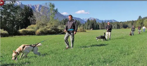  ??  ?? Trekking Dog, una propuesta diferente en Merlo: caminata de dueños junto a sus perros.