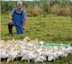  ??  ?? „Unsere Tiere werden artgerecht gehalten – so wie es sich gehört“, erklärt Josef Wirth stolz.