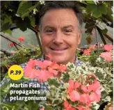  ??  ?? P.39 Martin Fish propagates pelargoniu­ms