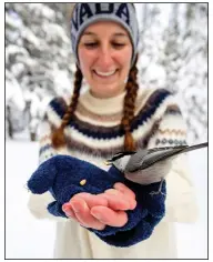  ?? (AP/University of Nevada, Reno/Jennifer Kent) ?? University of Nevada, Reno student Michelle Werdann feeds a wild mountain chickadee pine nuts Jan. 6 at Chickadee Ridge.