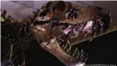  ??  ?? A view of 'Stan the T.Rex' King of the Dinosaurs held at Christie's auction house