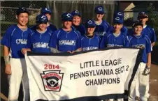  ?? Submitted ?? The Collier Township Little League team reached the Pennsylvan­ia state championsh­ip game in 2014.