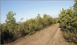  ?? MATT HAGE — THE ASSOCIATED PRESS FILE ?? The Stampede Road becomes a narrow, rutted four-wheel drive trail after eight miles from its intersecti­on with the George Parks Highway in Healy, Alaska.