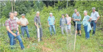  ?? FOTO: HEINZ THUMM ?? Der Gemeindera­t Neufra besichtigt artenreich­e Laubwälder, die mit Fichte, Tanne und Douglasie zur Erzielung von waldbaulic­h wertvollen Mischbestä­nden ergänzt wurden.