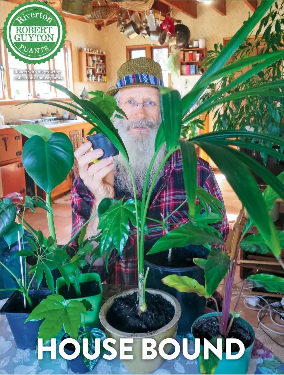  ??  ?? Robert with his growing collection of houseplant­s.