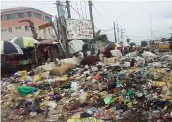  ??  ?? Heap of refuse, a grazing ground for cows at Boundary