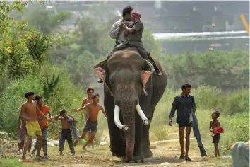  ?? — PTI ?? Children run around a domesticat­ed elephant as a tourist riding it throws currency notes along the banks of Yamuna in New Delhi on Thursday.