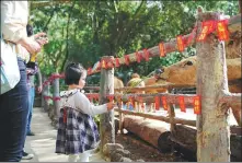  ??  ?? Tourists learn to make panda food and interact with animals at the Hainan Tropical Wildlife Park and Botanical Garden in Haikou, Hainan province.