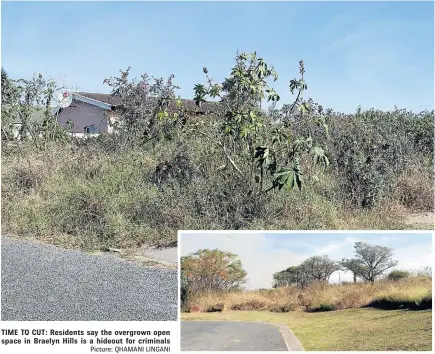  ?? Picture: QHAMANI LINGANI ?? TIME TO CUT: Residents say the overgrown open space in Braelyn Hills is a hideout for criminals