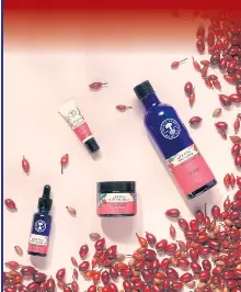 Rosehips the backbone of Neal’s Yard Remedies | Bangkok Post | PressReade­r