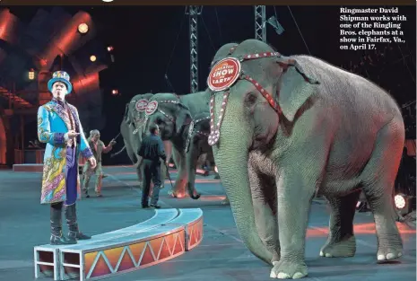  ?? JASPER COLT, USA TODAY ?? Ringmaster David Shipman works with one of the Ringling Bros. elephants at a show in Fairfax, Va., on April 17.