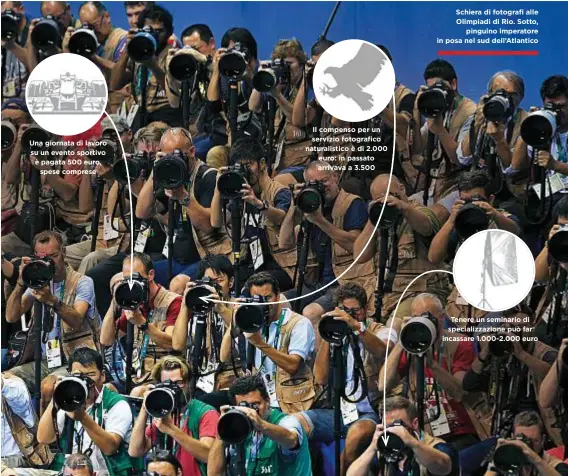  ??  ?? Schiera di fotografi alle Olimpiadi di Rio. Sotto, pinguino imperatore in posa nel sud dell’Atlantico Il compenso per un servizio fotografic­o naturalist­ico è di 2.000 euro: in passato arrivava a 3.500 Una giornata di lavoro su un evento sportivo è...