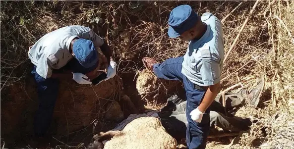  ??  ?? Police officers examine the body of Sithole