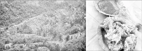  ??  ?? (Left) Organic farms stand on the terraces of hillsides on the outskirts of Gangtok, India. • (Right) In the tiny Indian state of Sikkim, which banned disposable plastic plates in 2016, a spicy roadside snack of onion pakora comes on a disposable plate...