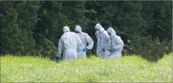  ??  ?? Forensics examine a site near Kilmuckrid­ge last Wednesday.