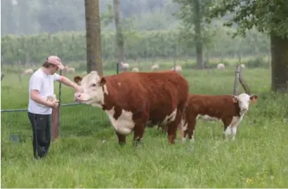  ?? FOTO'S KAREL HEMERIJCKX ?? Op boerderij De Alverberg leer je alles over voeding. Zondag is er een belevingsd­ag voor het grote publiek.