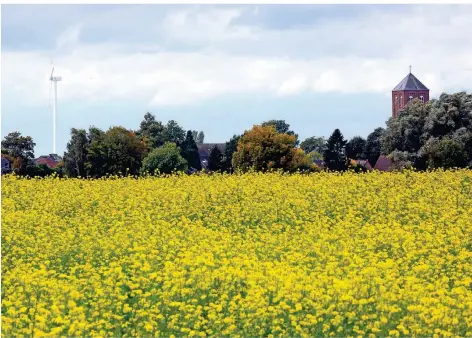  ?? RP-FOTO: ARMIN FISCHER ?? Ein Dorf zwischen Kirchturm und Windrad: Veen lädt den Niederrhei­n wieder zum Symposium über das Landleben ein.