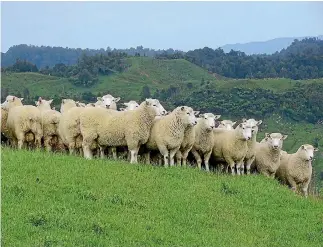  ?? PHILIP BRANDON ?? Drystock farmers fear the rules of plan change 1 will remove the flexibilit­y within their farm system which is required to farm successful­ly.