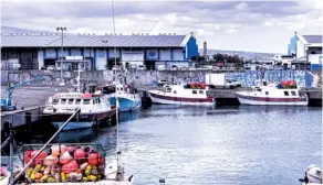  ?? ?? Le groupe Réunimer a récemment remis à neuf deux bateaux de sa flotte de palangrier­s.