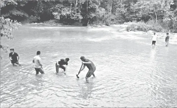  ??  ?? Habitantes del municipio de Tumbalá, Chiapas, continúan sacando grava y piedras de las cascadas de Agua Azul, para que el agua comience a regresar a su cauce original ■ Foto Elio Henríquez