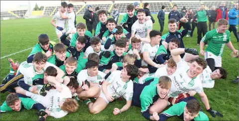 ??  ?? Hopefully these scenes will be repeated in Croke Park on Saturday.