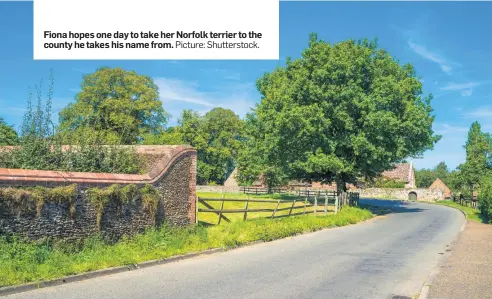  ?? Picture: Shuttersto­ck. ?? Fiona hopes one day to take her Norfolk terrier to the county he takes his name from.